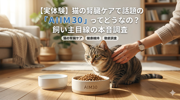 AIMneko